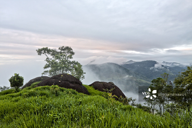 你的年度最佳图片素材