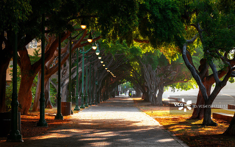 阿拉怀长廊，檀香山，瓦胡岛，夏威夷，美国图片素材