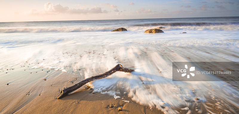 沙滩上的树枝图片素材