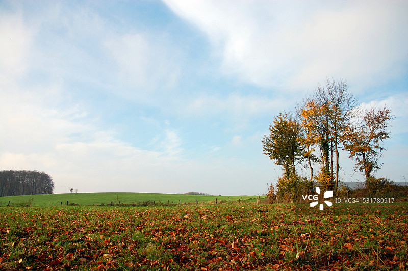 秋天的风景图片素材