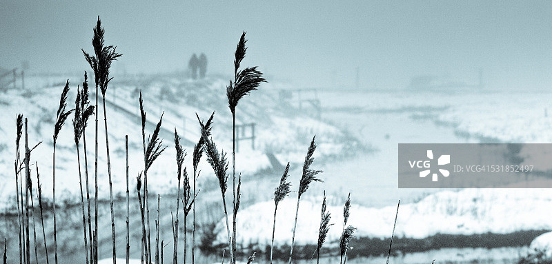 冬季步行图片素材