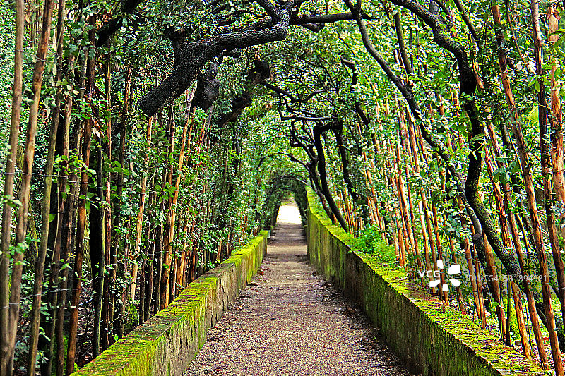 意大利佛罗伦萨波波里花园图片素材