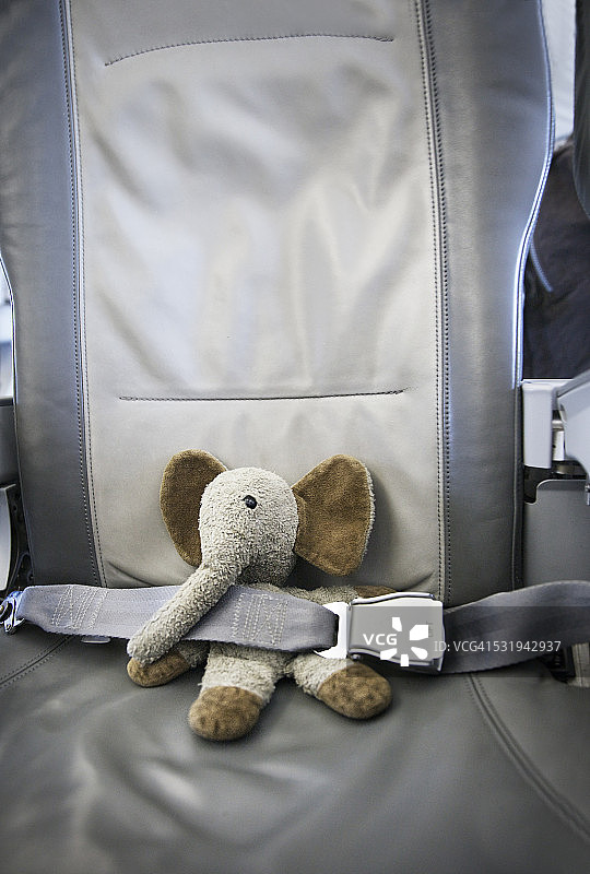 飞机座位上的大象泰迪熊图片素材