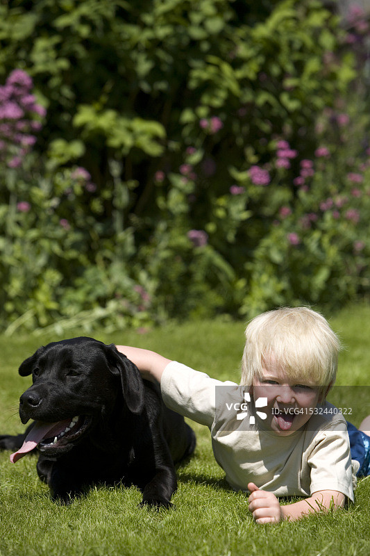男孩和他的宠物拉布拉多犬图片素材