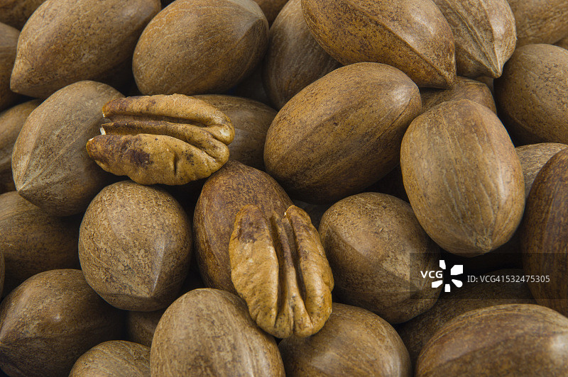 山核桃图片素材