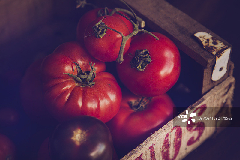 装有番茄的木箱图片素材