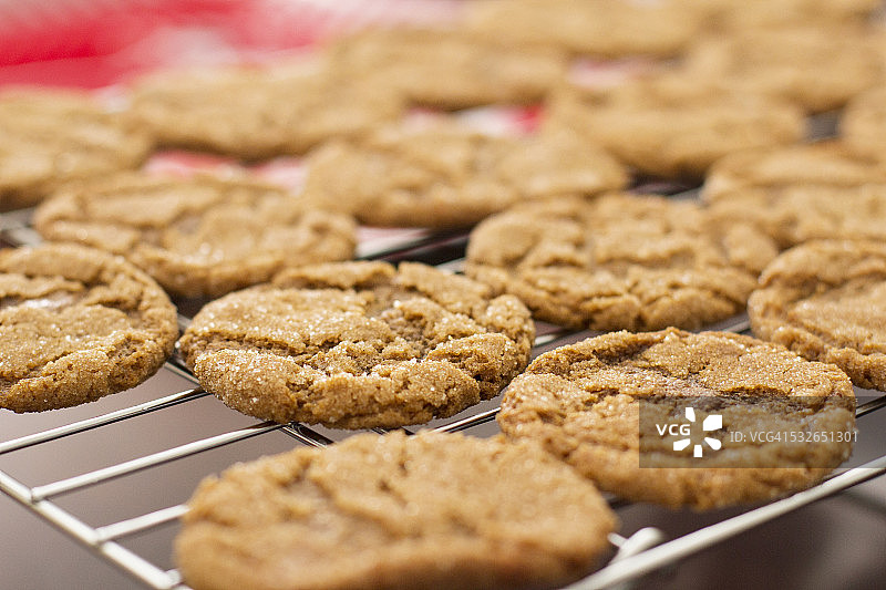 冷却架上的姜饼图片素材