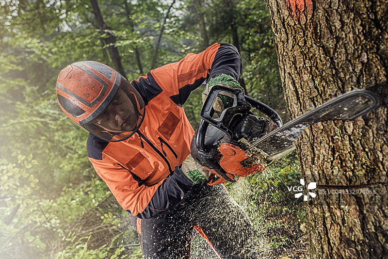 工作中伐木工人图片素材