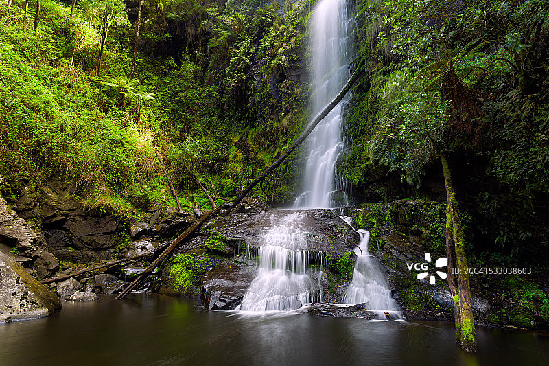 瀑布在森林图片素材