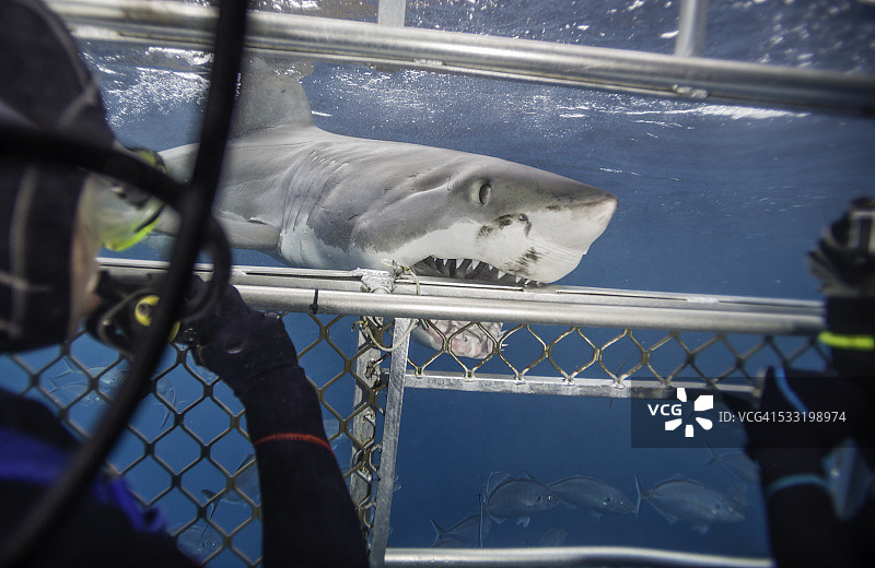 金属咬合图片素材