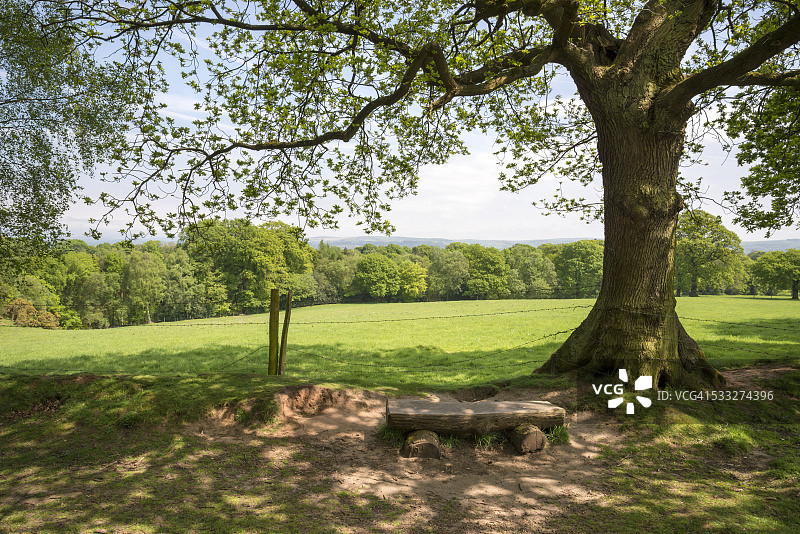 可欣赏柴郡乡村风光的乡村座位图片素材