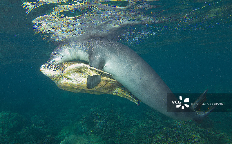 请载我一程图片素材