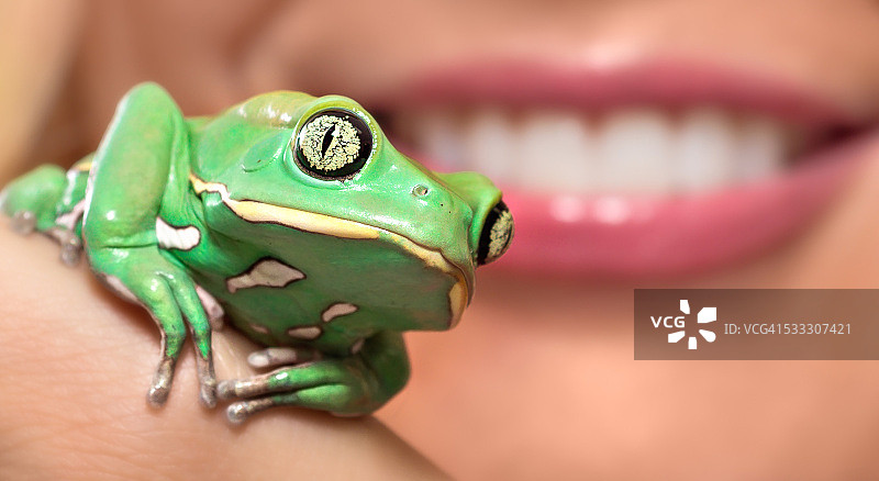 绿蛙与嘴唇和牙齿漂亮的女人图片素材