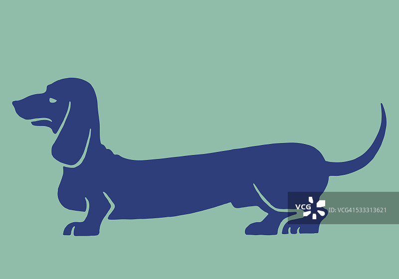 达克斯猎犬图片素材