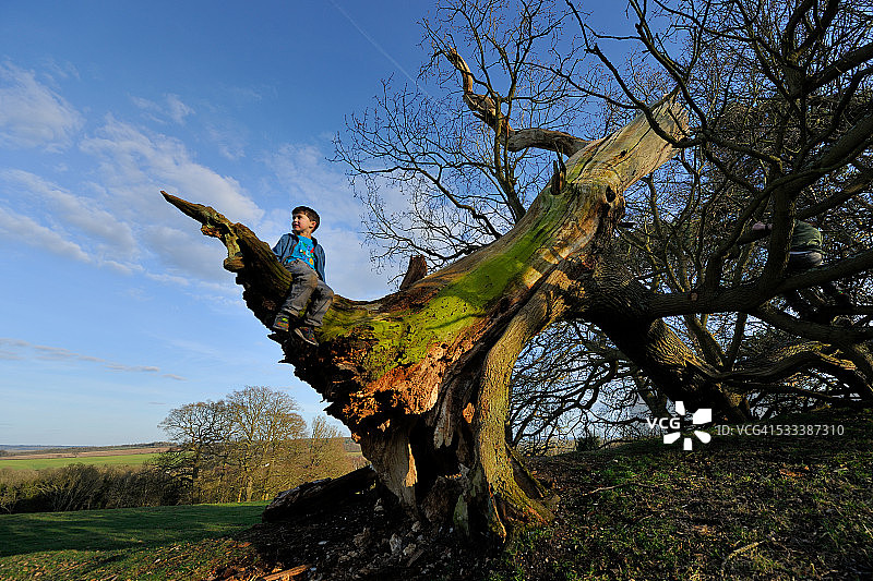 男孩坐在倒下的树上图片素材