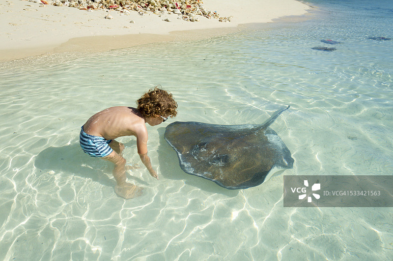 小男孩玩黄貂鱼图片素材