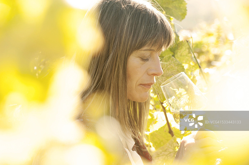 女酿酒师在葡萄园里端着一杯白葡萄酒图片素材