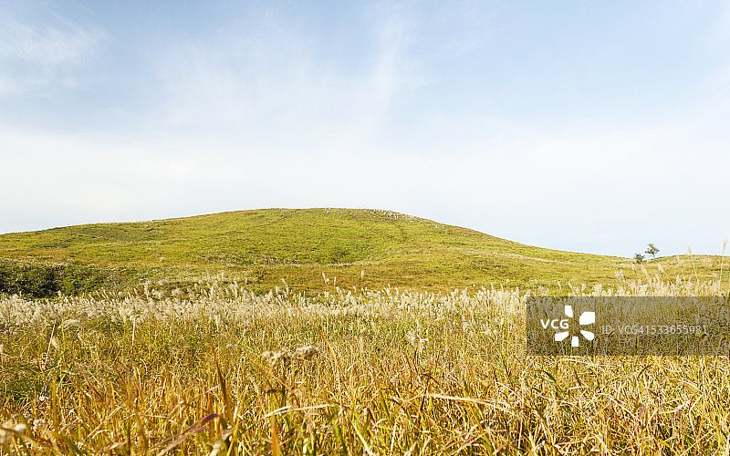 秋吉台的冥想景观，日本图片素材