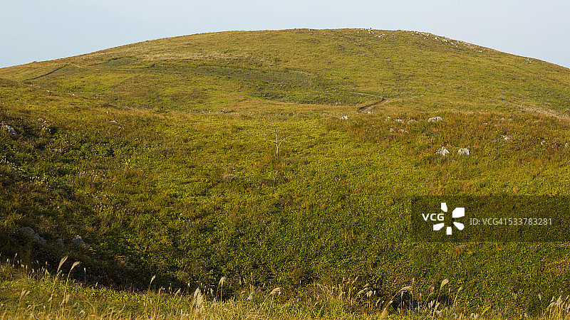 秋吉台准国家公园，日本山口县图片素材