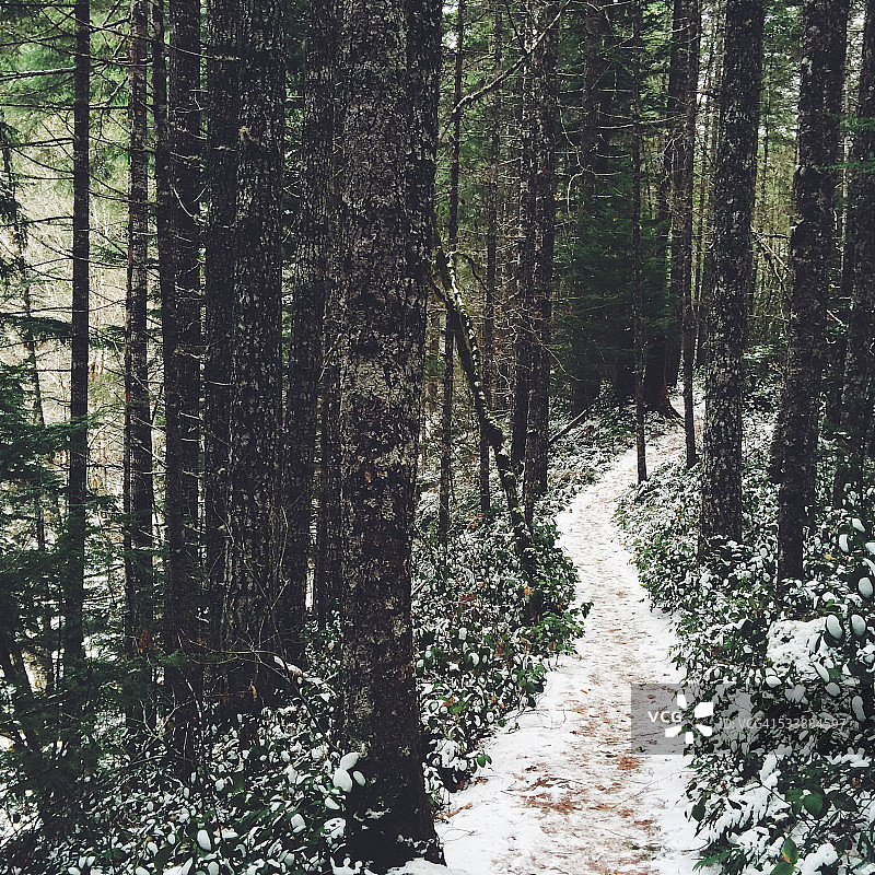 华盛顿瀑布溪瀑布雪地小径图片素材