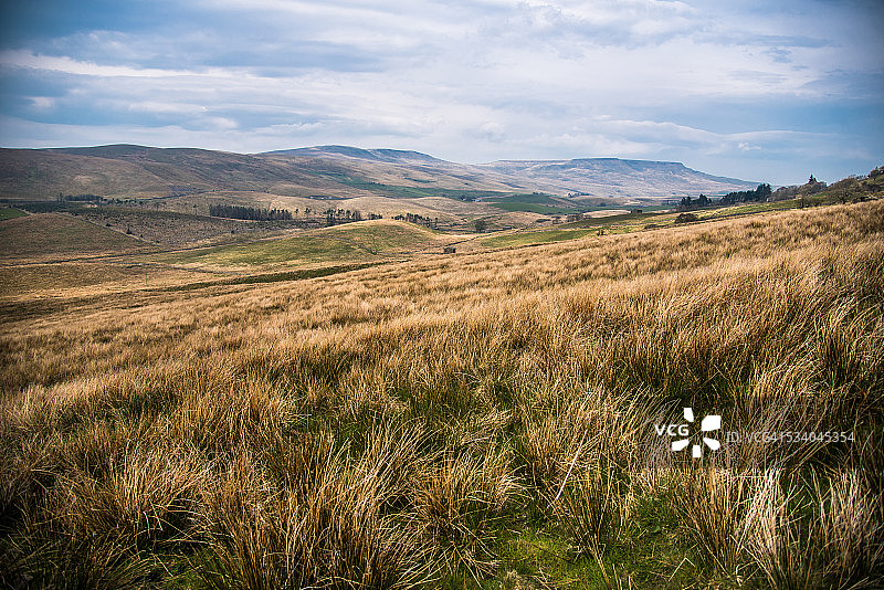 约克郡山谷的开阔沼泽地图片素材