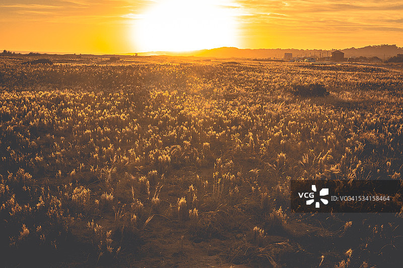 乌拉圭皮里亚波利斯乡村日落图片素材