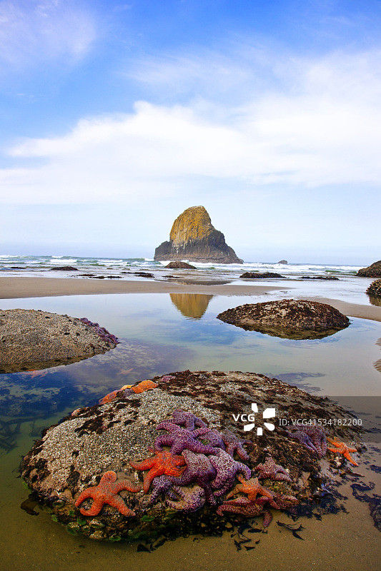 俄勒冈海岸印第安海滩上的海星和岩层图片素材
