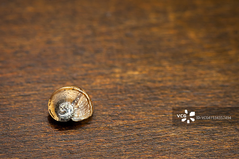 熟睡的小蜗牛图片素材