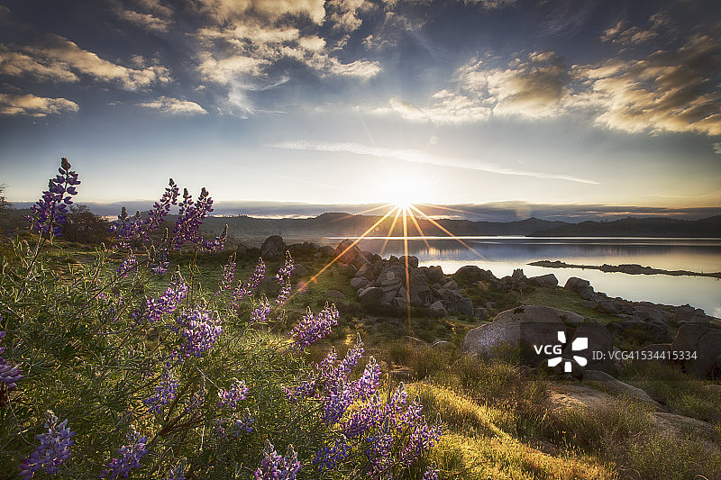 米勒顿湖的日出图片素材