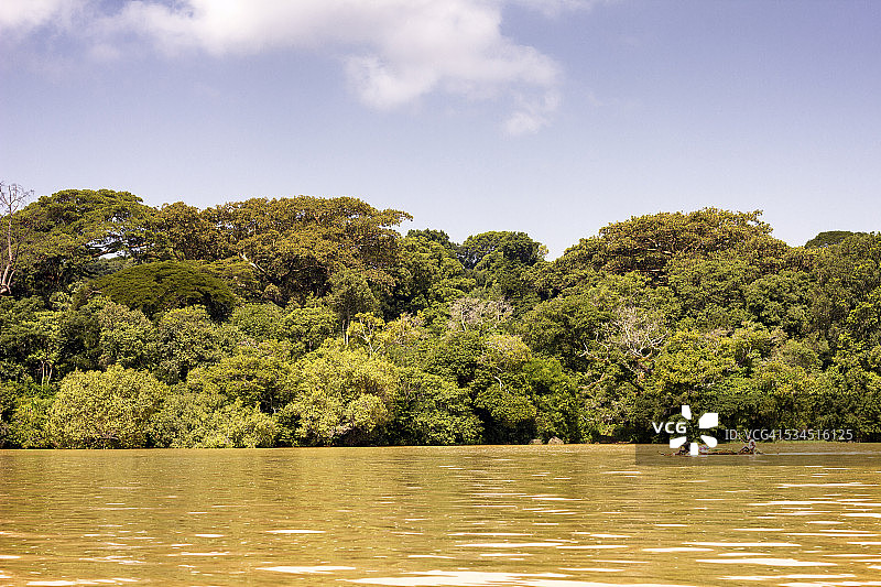 塔纳湖上的独木舟图片素材
