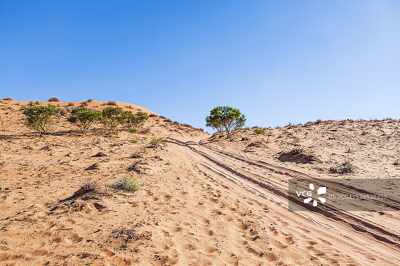 “大红”辛普森沙漠沙丘图片素材