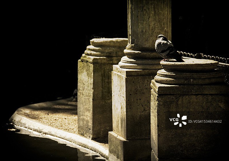 鸽子纪念碑图片素材