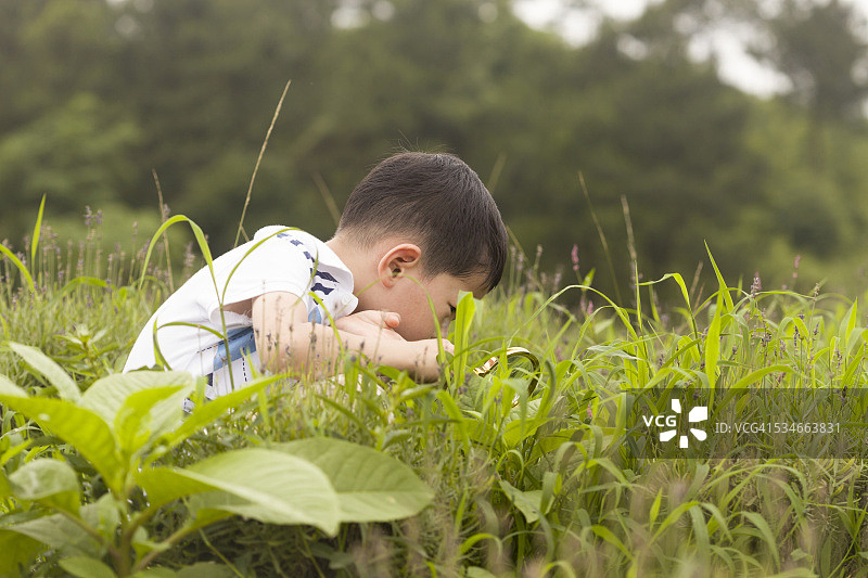 用放大镜在草丛中寻找昆虫的亚洲小男孩图片素材