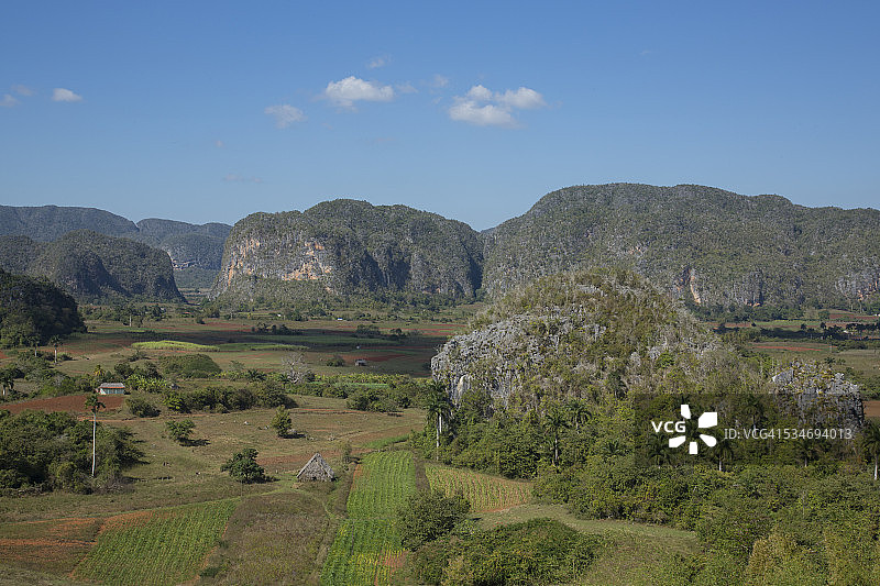 古巴比尼亚莱斯山谷的烟草农场图片素材