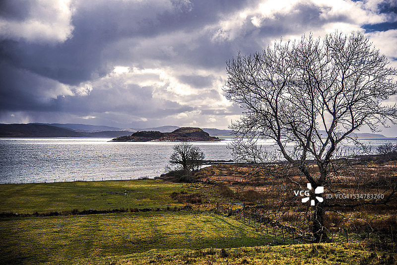 利斯莫尔岛，孤树，林内湖西向景观图片素材