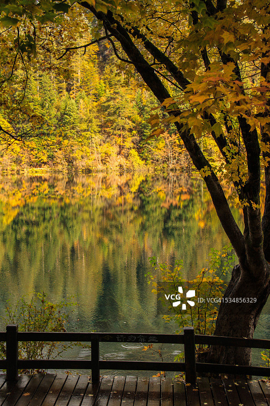 秋天的镜湖（九寨沟）图片素材