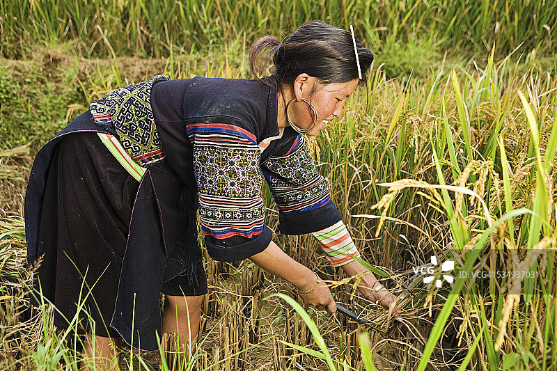 越南少数民族妇女——黑苗族图片素材