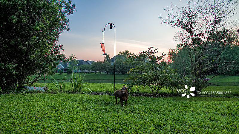 迷你品发光图片素材
