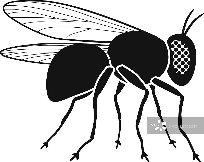 黑白家蝇侧视矢量图图片素材