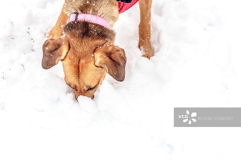 2015年暴风雪图片素材