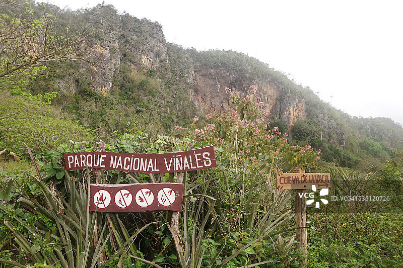比尼亚莱斯国家公园内的标识图片素材