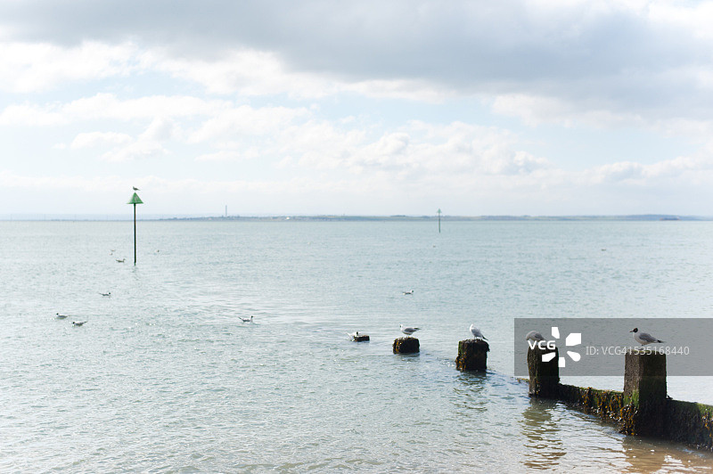 韦斯特克利夫海滨图片素材