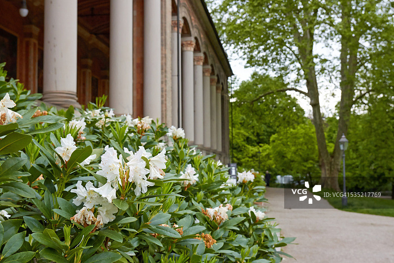 温泉疗养大厅图片素材