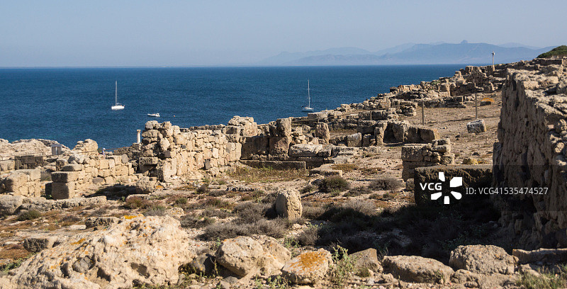 塔罗斯图片素材