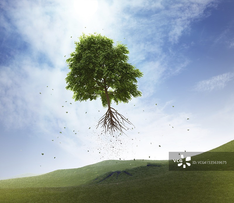 连根拔起的树艺术作品图片素材