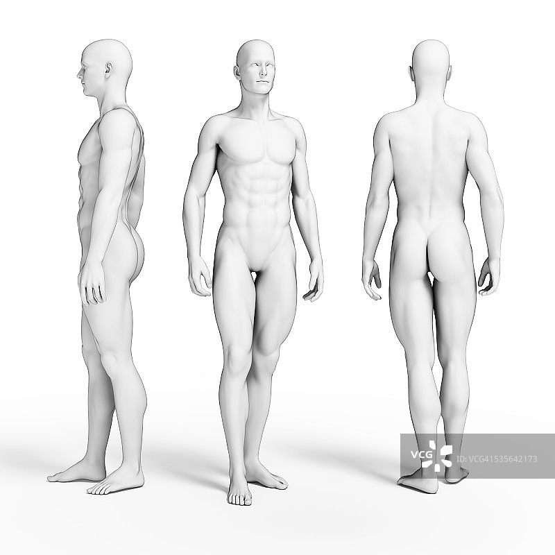 健壮的身体插画图片素材