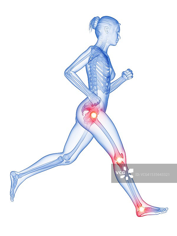 人体关节插图图片素材