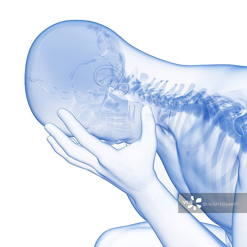 人类的头骨,插图图片素材