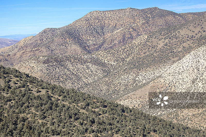 干旱的山坡上覆盖着树木图片素材