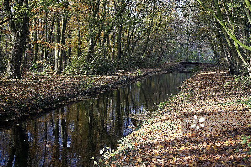 秋季森林中的沟渠图片素材